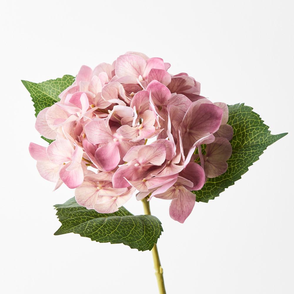 FLOWERS | Floral Interiors – Tagged 