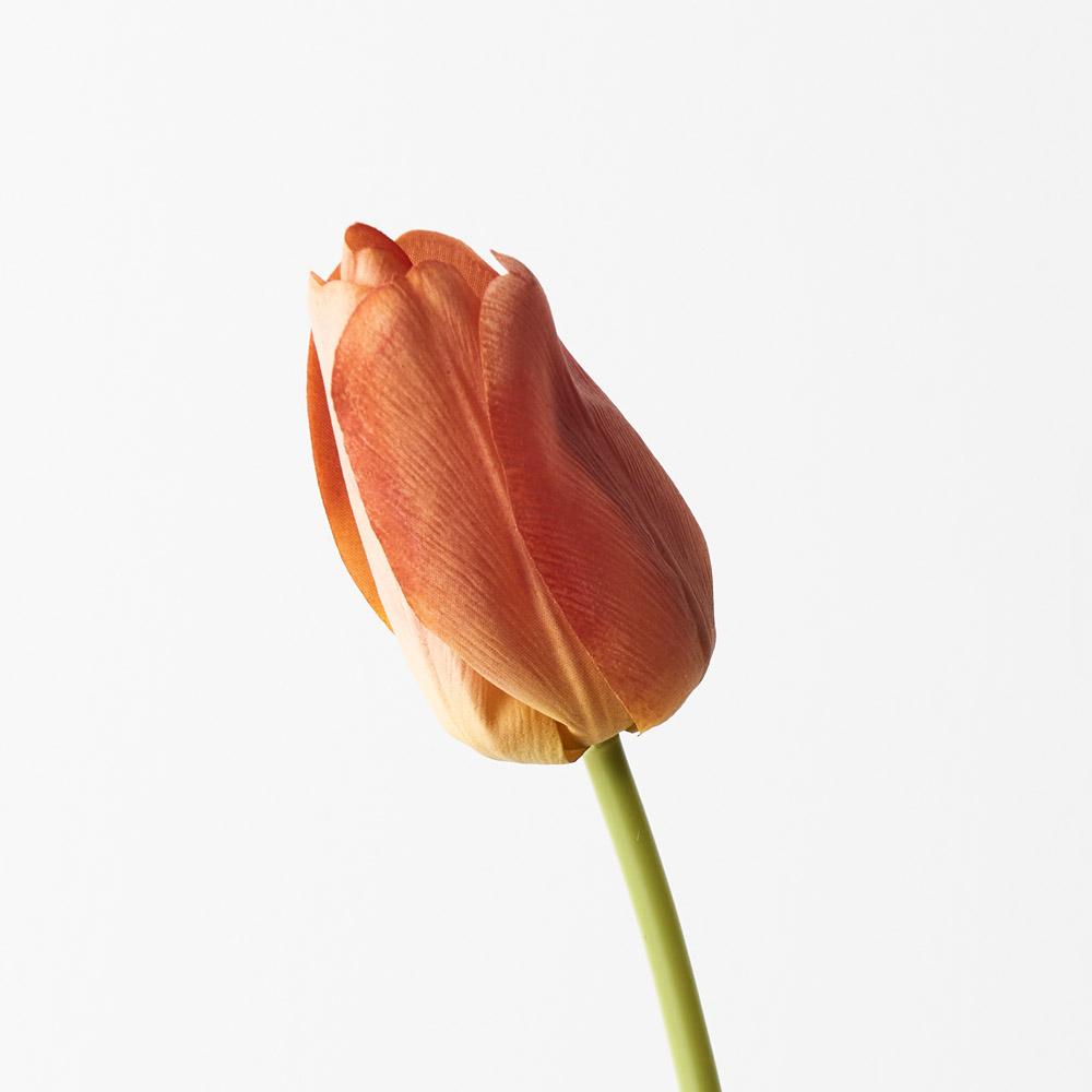Tulip Orange 69cml – Floral Interiors Shop
